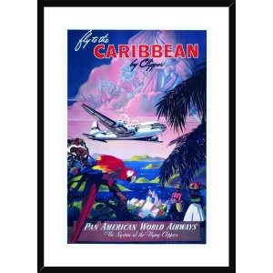 fly-caribeaan--20x28-black-frame-web-snow-white-mount_copy